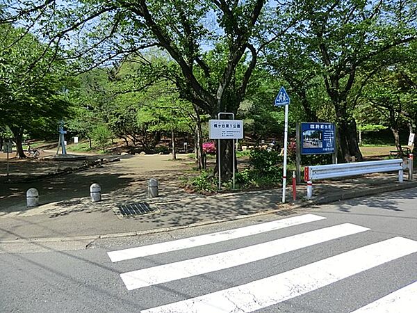 小さな池や小高い丘があり子供たちの遊びにピッタリの公園。春にはきれいな桜を観ることができます。