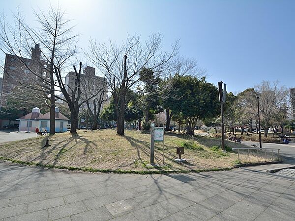 お散歩を楽しんだり、キッズが走り回ったり。木々に囲まれゆったりとした広さのある憩いの公園です。