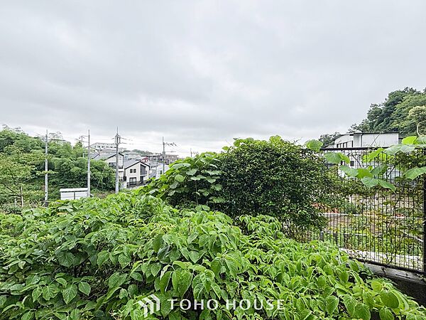 木々の緑がまぶしい、豊かな緑と静寂。ずっと見ていたいと思わせてくれる景色。