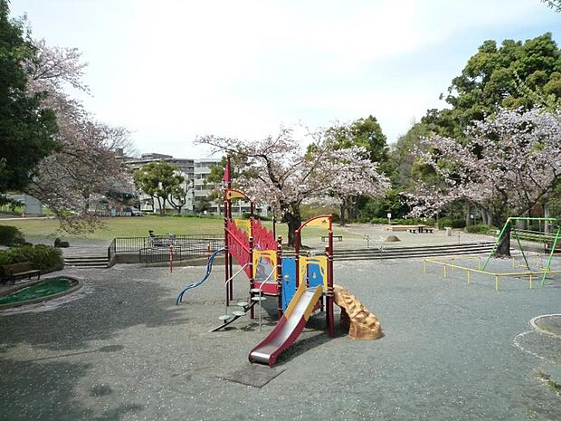 横浜市でも珍しい自然の滝のある公園。放課後は子供たちのにぎやかな声が響きます。