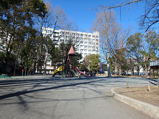 学校に隣接しており、放課後になると学生が多く集まる公園です。