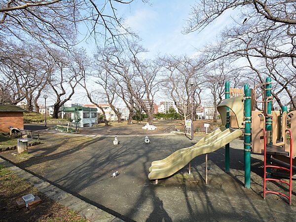 丘の上の静かな公園。公園の樹木のうちの多くが桜のため、桜の名所としても知られており、春には満開の桜の下でお花見ができます。