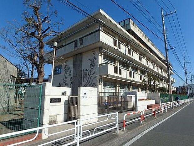 緑小学校