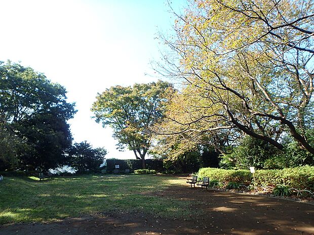 公園の中には修繕が終わったばかりのログハウスもあります。木のぬくもりを感じながら思いっきり遊べます。