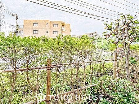 開放的で気持ちの良い眺望と青い空を満喫できます。