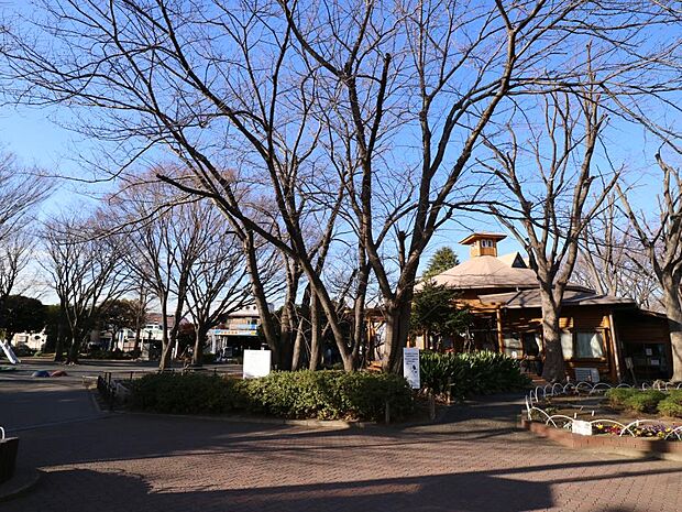 施設室内全体がアスレチックになっていて雨の日も楽しく遊べます。図書コーナーもあります。