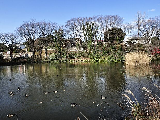 地域の住民の憩いの場。池、広場、プールなどがあり、夏の暑い日にはプールから元気な声が聞こえてきます。
