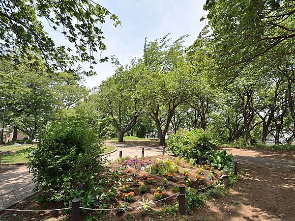 地元では「カーボン山」の名で呼ばれ、自然豊かな緑地として親しまれている公園です。