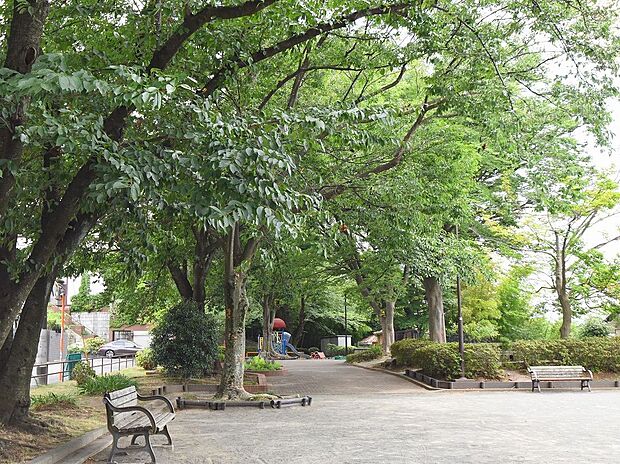 普段は子供達で賑わう広々した公園。春には桜が見事だそうです。毎年桜の季節が楽しみになりそうです。