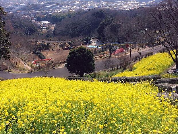 広大な敷地の自然公園。動物園エリアと植物園エリアに分かれ四季の移ろいを感じながら、動物や昆虫、草花を観察できます。市内最大級の100mのローラーすべり台がありますよ。