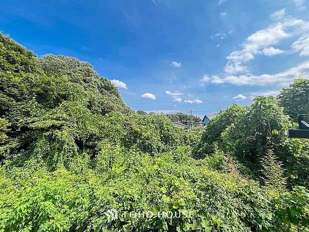 木々の緑がまぶしい、豊かな緑と静寂。ずっと見ていたいと思わせてくれる景色。