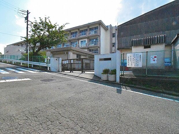 小机小学校
