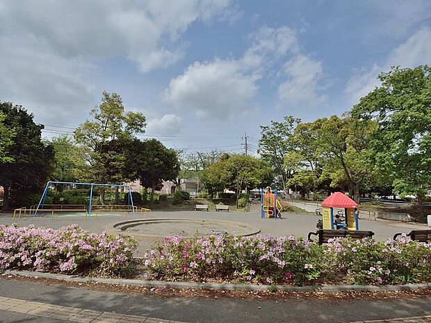 春は桜、夏はプールと区民の憩いの場所として親しまれています。