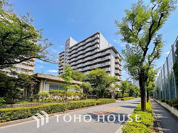 前面道路含む現地写真『快適』は「家」と「街」と「環境」が調和した時に訪れるだと改めて感じさせてくれます。