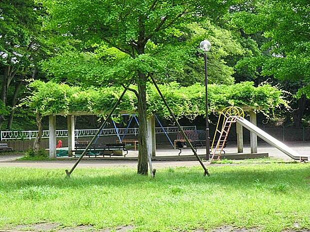 広々とした公園内に池もあります。春には桜もキレイ!!緑豊かな公園です。
