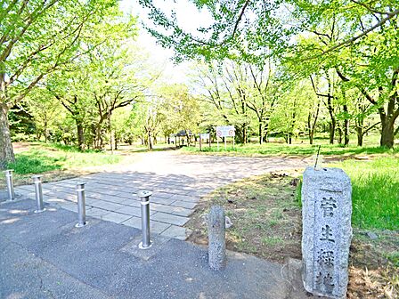 木々に囲まれた緑豊かな公園です。ゆっくりと散策や森林浴を楽しめます。