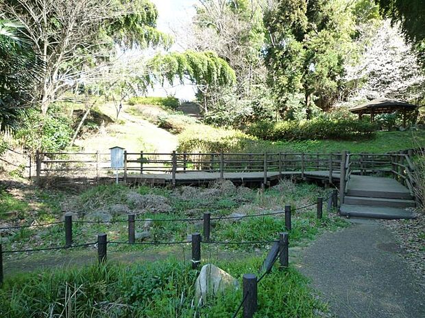 閑静な住宅街を抜けた先に佇む自然豊かな公園。孟宗竹の林や雑木林、サツキなどの緑に囲まれています。