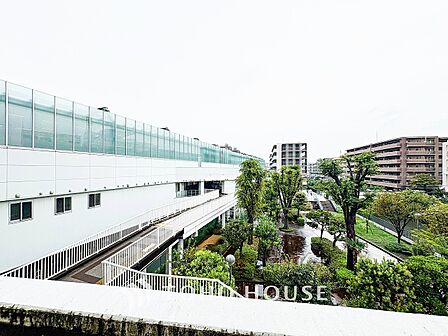 開放的で気持ちの良い眺望と青い空を満喫できます。