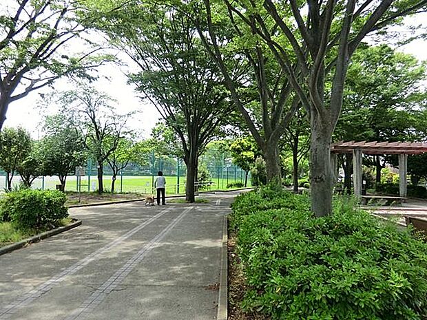 住宅街の中の緑に囲まれた広々とした公園です。球技などのスポーツができるグラウンドと遊具やベンチがある広場があります。
