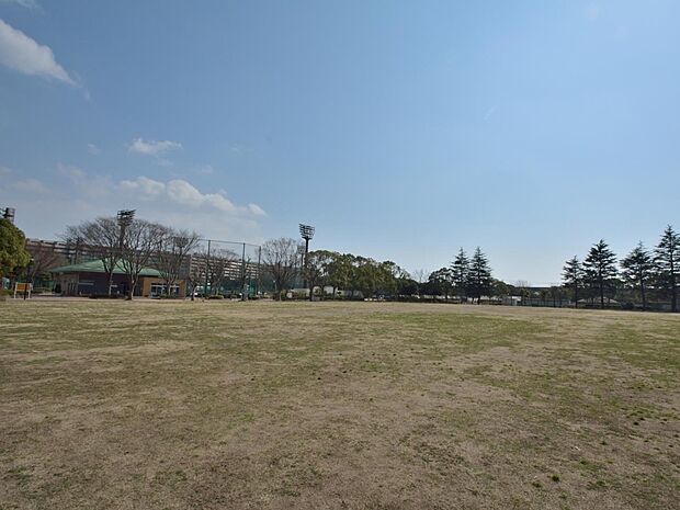 恵まれた自然環境を有する公園。スポーツ施設もありますが散策するだけでも充分楽しめます。
