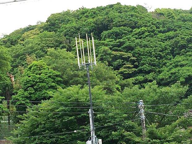 瀬上池あたりではホタルが見られることで近隣の人々に親しまれている森。