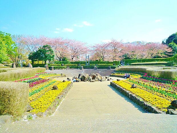 噴水・花壇、展望台、ジャンボすべり台などのレクリエ-ション施設も点在し大人も子供も楽しめる。