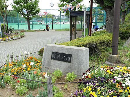 大きな梅林があり梅の咲く季節は多くの人々が訪れる公園。テニスコートや野球場もあります。