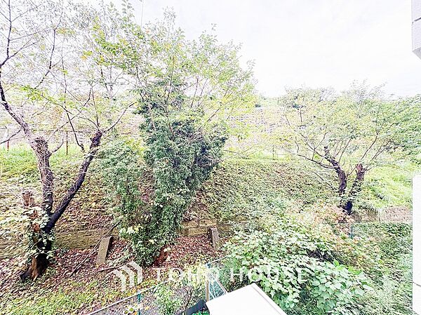 開放的で気持ちの良い眺望と青い空を満喫できます。