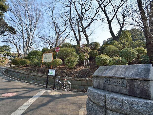 遊具が設置された広場や、池を配した和風庭園、横浜能楽堂が建てられています。