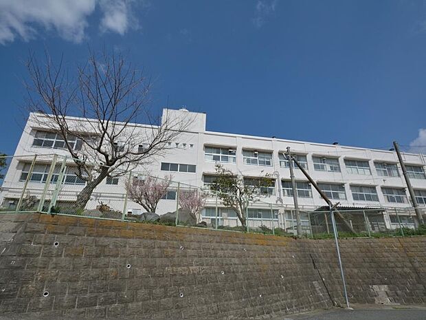 横浜市立岡津小学校