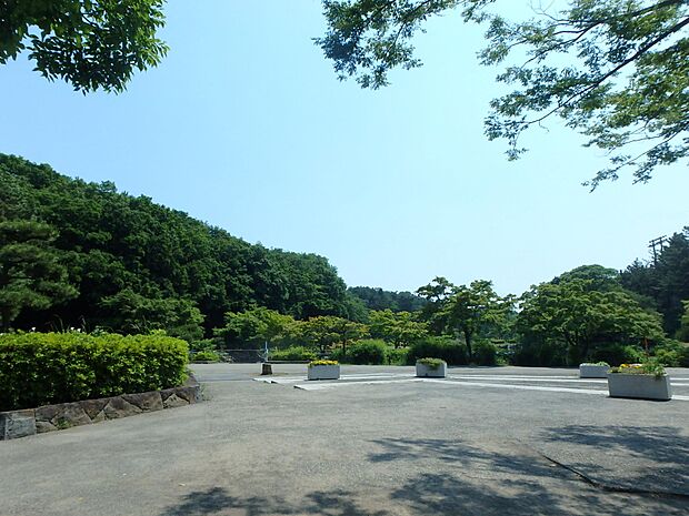 春には桜のきれいな大池公園。アスレチックやふれあい動物園もあります。