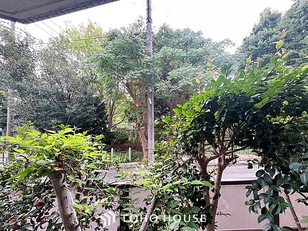 木々の緑がまぶしい、豊かな緑と静寂。ずっと見ていたいと思わせてくれる景色。