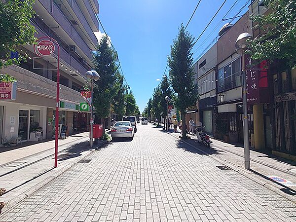 ハッピーロード（尾山台商店街）まで（300m）