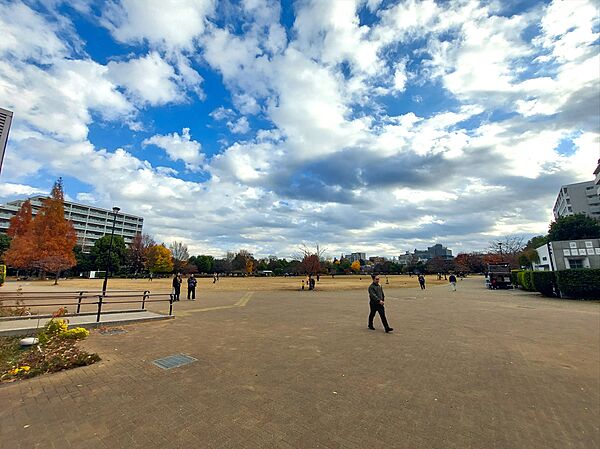 桃井原っぱ公園まで（650m）