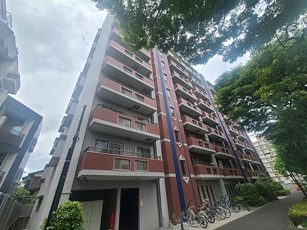 外観：313004847532
