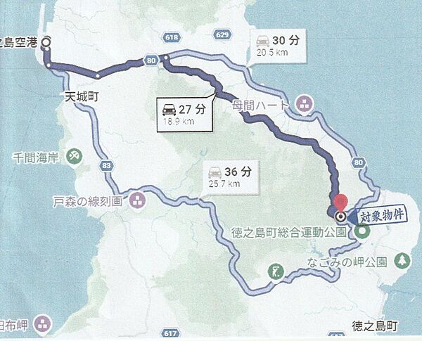 徳之島子宝空港から現地