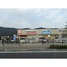 ドラックストア「ウエルシア千曲内川店まで597ｍ」
