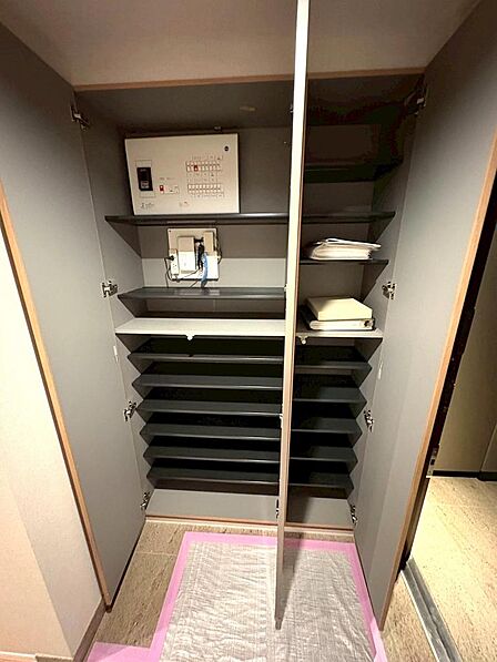 玄関横の靴箱になります。可動棚になりますので、ブーツ収納等、お客様の用途に合わせて利用可能です。