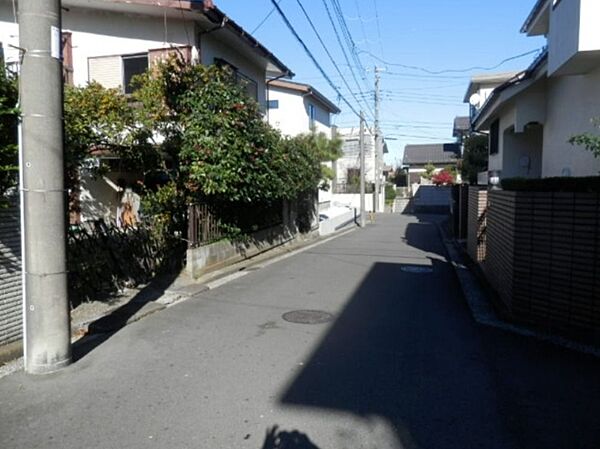 東側公道(南側より撮影)