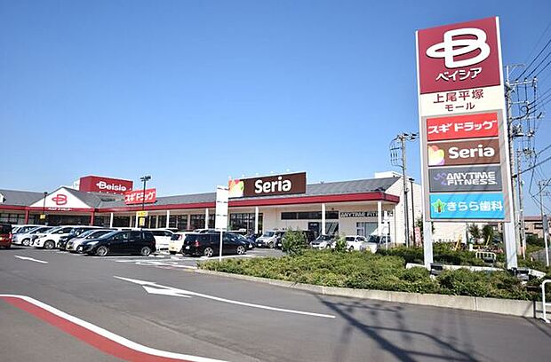 ベイシア上尾平塚モール ベイシア営業時間…9:00~20:00(各テナントにより営業時間は異なります)。定休日…元日。カフェ・ドラッグストア・100円均一・ジムを併設したスーパー。