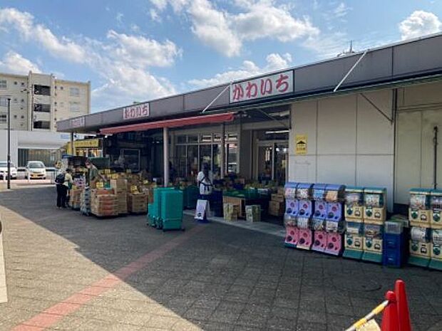 かわいち 尾山台店(385m)