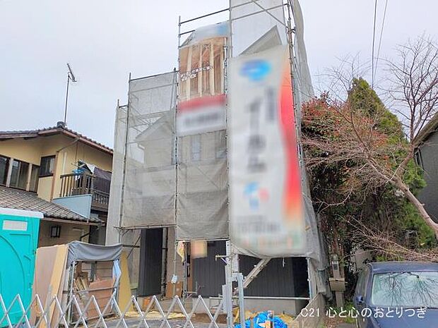 撮影日:2025/03/31