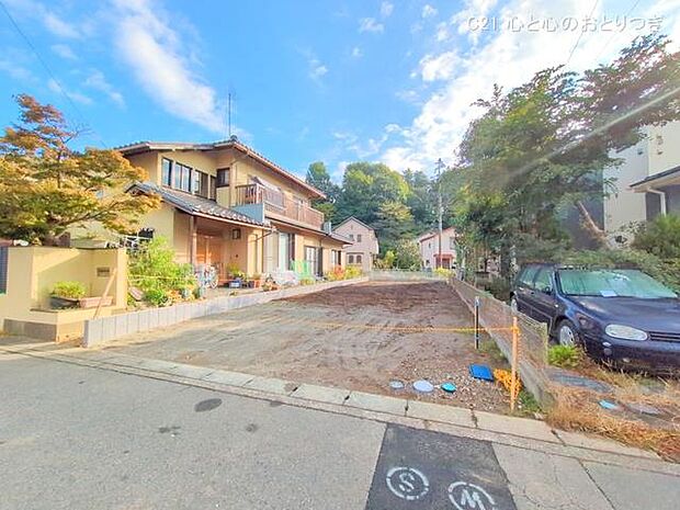 撮影日:2024/11/12