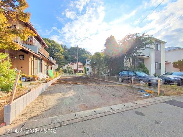 撮影日:2024/11/12