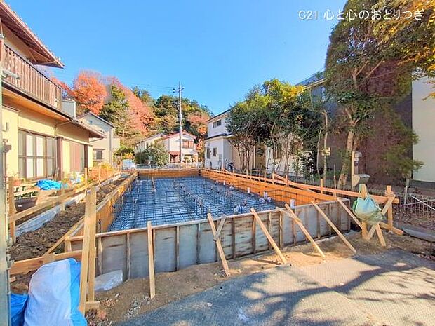 撮影日:2024/12/26