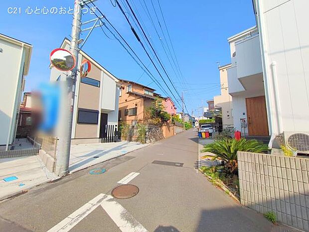 撮影日:2025/05/20