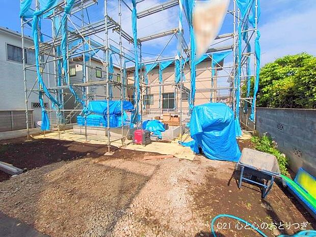 撮影日:2025/05/15