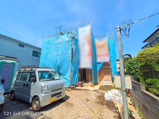 撮影日:2025/06/06