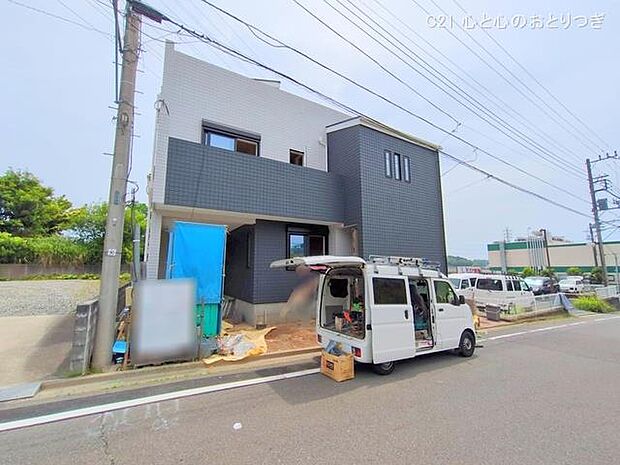 撮影日:2025/06/06