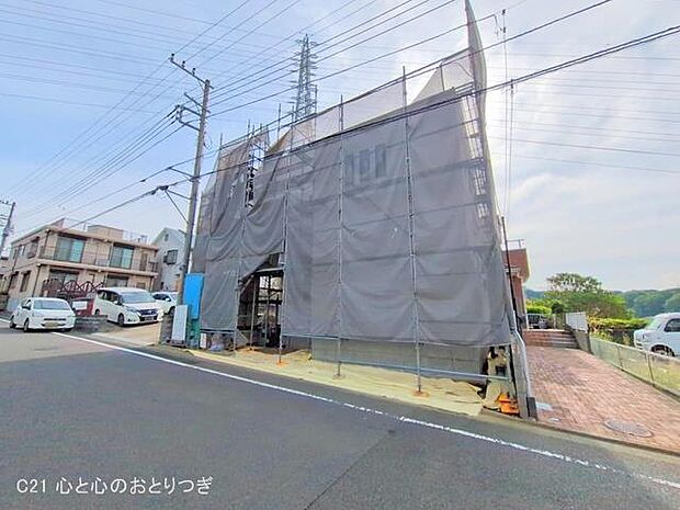 撮影日:2025/05/15